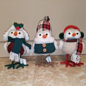 Winter/Christmas birds rare